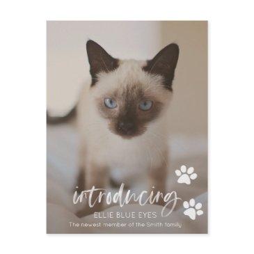 new kitten or cat announcement invitations