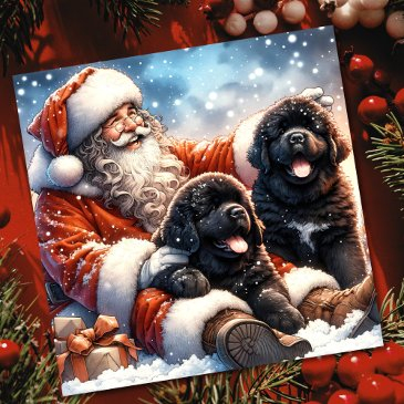 newfoundland dogs with santa claus festive holiday invitations