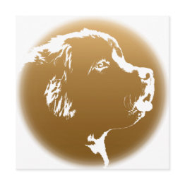 Small Newfoundland Invitations Personalized Dog Invitations Front View