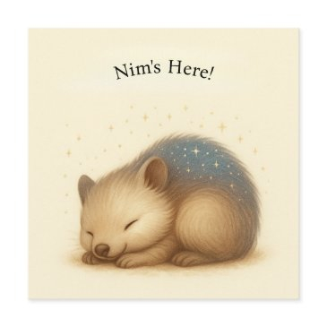 nim naps customizable comfort series invitations