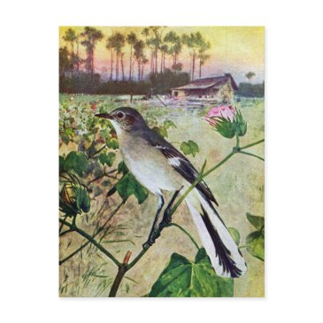 northern mockingbird postinvitations