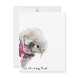 Small Note Invitations Featuring Peter Rottentail Front View