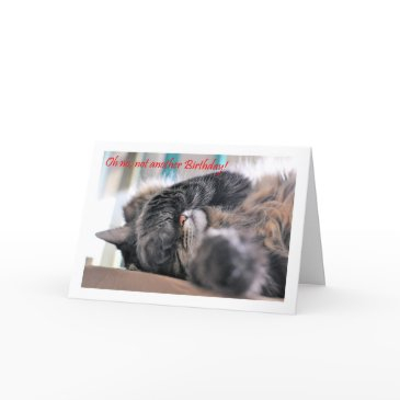 oh no, not another birthday! cat happy birthday invitations