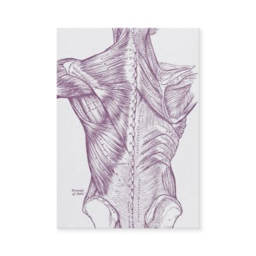 old anatomy art muscles of the back purple (1890) business invitations