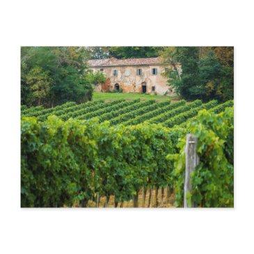 old tuscan vineyard and villa postinvitations