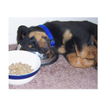 paw print on your heart pet loss memorial invitations