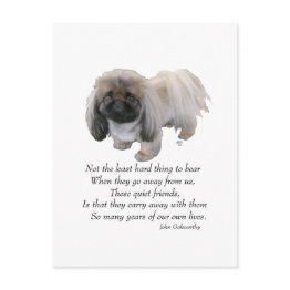 Small Pekingese Dog Rainbow Bridge Postinvitations Front View