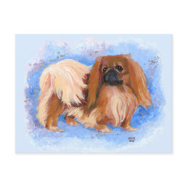 Small Pekingese True Blue Postinvitations Front View