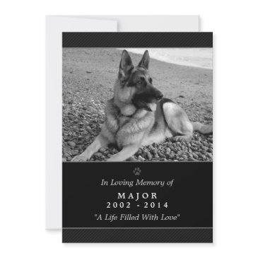 pet memorial invitations 5"x7" black modern - male pet