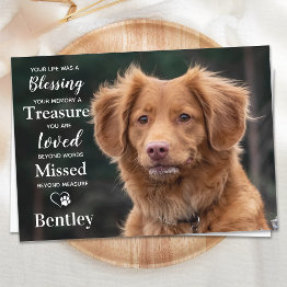 Small Pet Memorial Modern Personalize Dog Photo Sympathy Thank You Invitations Front View