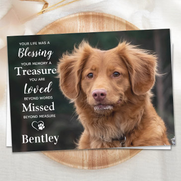 pet memorial modern personalize dog photo sympathy thank you invitations