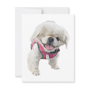 peter rottentail note invitations