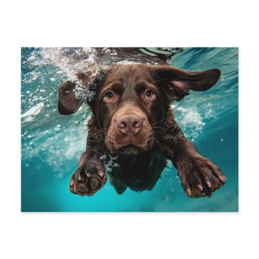 playful chocolate labrador swimming underwater postinvitations