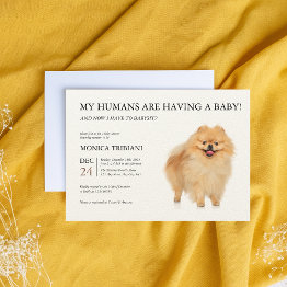 Small Pomeranian Dog Puppy Baby Shower Minimalist Invitation Front View