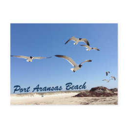 Small Port Aransas Beach Seagull Photography Pretty Postinvitations Front View