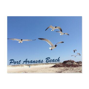 port aransas beach seagull photography pretty postinvitations