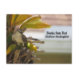 Small Postcrossing - Florida State Bird Postinvitations Front View
