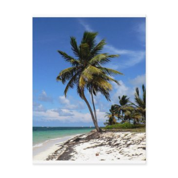 punta cana, dominican republic, coconut palm tree postinvitations