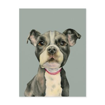"puppy eyes" pit bull dog watercolor painting postinvitations