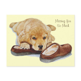Small Puppy Golden Retriever Dog Portrait Missing You Postinvitations Front View