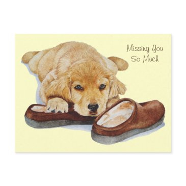 puppy golden retriever dog portrait missing you postinvitations