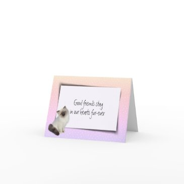 rag doll pet loss sympathy invitations
