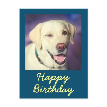 retro funny dog and happy birthday postinvitations