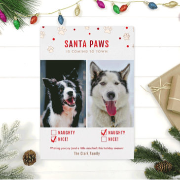 rose gold foil naughty or nice two dog photo invitations
