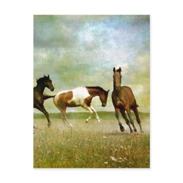 running wild horses - vintage creative art postinvitations