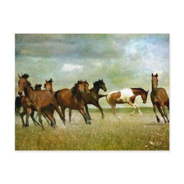 running wild horses - vintage creative art postinvitations
