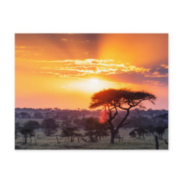 Small Safari In The Serengeti National Park Postinvitations Front View