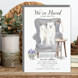 Small Samoyed | Moving Announcement Front View