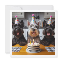 Small Scottish Terrier Invitations, Scottish Terrier Birthday Invitation Front View