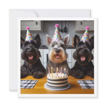 scottish terrier invitations, scottish terrier birthday invitation