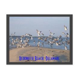 Small Seagulls Postinvitations, Rehoboth Beach, Delaware Postinvitations Front View