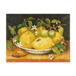 Small Season's Fruits Lemons And White Flowers Postinvitations Front View