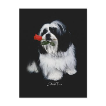 shih tzu with rose postinvitations