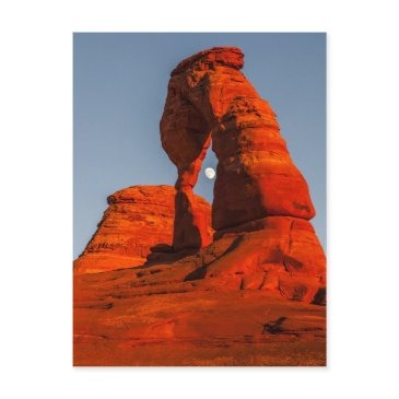 shoot the moon postinvitations