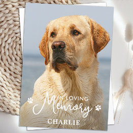 Small Simple Pet Memorial Custom Sympathy Dog Photo Thank You Invitations Front View