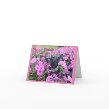 smell the flowers invitations