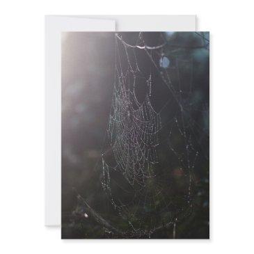 spider web invitation