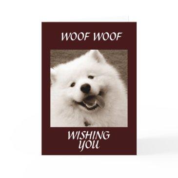 spitz wishes you a "a speedy recovery" invitations
