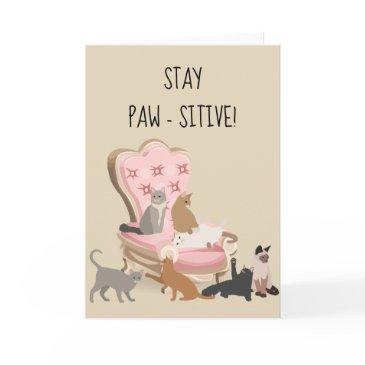 stay paw-sitive positive funny cat thinking of you invitations