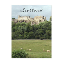 Small Stirling Castle Sheep Field Postinvitations Front View