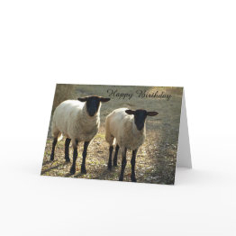 Small Suffolk Sheep Happy Birthday From Us To Ewe! Invitations Front View