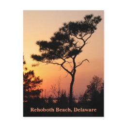 Small Sunset Rehoboth Postinvitations Front View