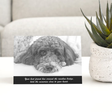 sympathy labradoodle greeting invitations