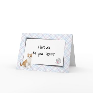 tabby cat on plaid pet loss sympathy invitations