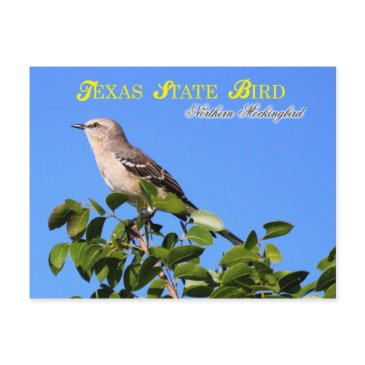 texas state bird - northern mockingbird postinvitations