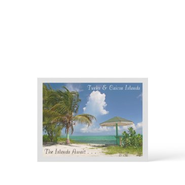 the islands await/turks and caicos islands postinvitations